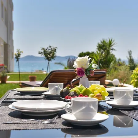 Mm Luxury Diamond & Silver Zadar